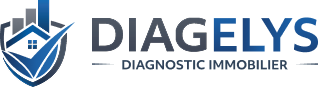 logo LE DIAGNOSTICS ET CONSEILS