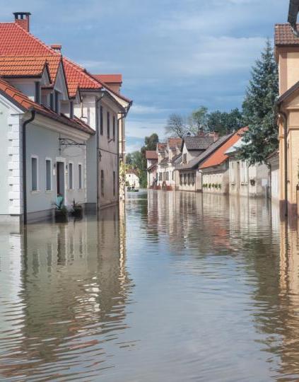 Photo illustrant l'état des risques et pollutions ERP